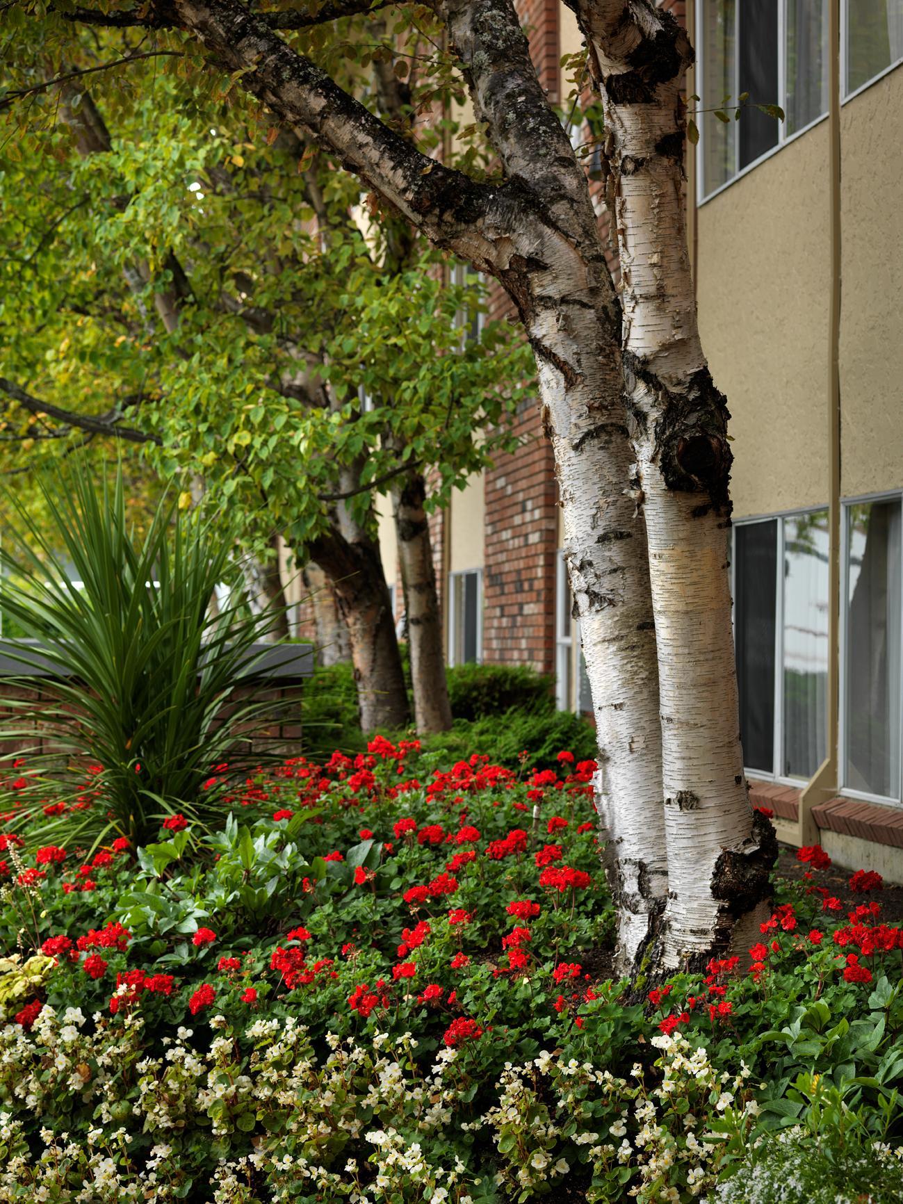 Royal Scot Hotel & Suites Victoria Exterior foto